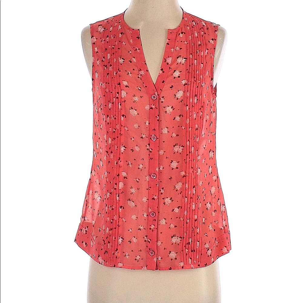 Sheer CAbi top